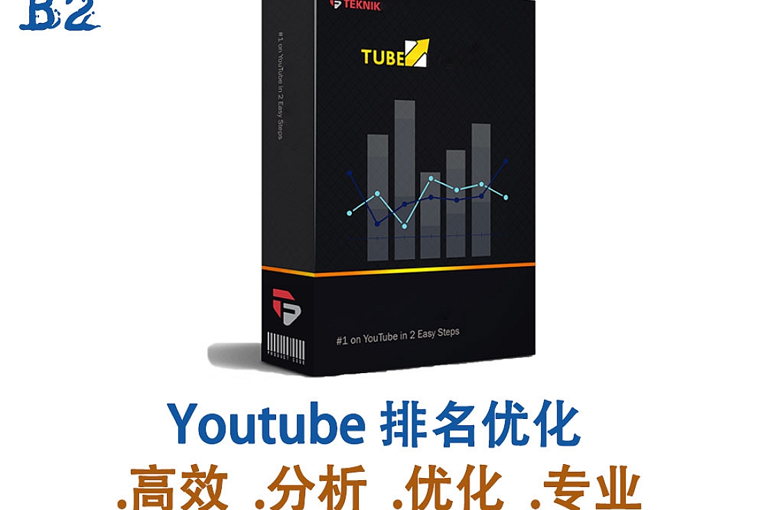 Youtube 优化排名软件-针对标题, 描述和关键字进行完美优化