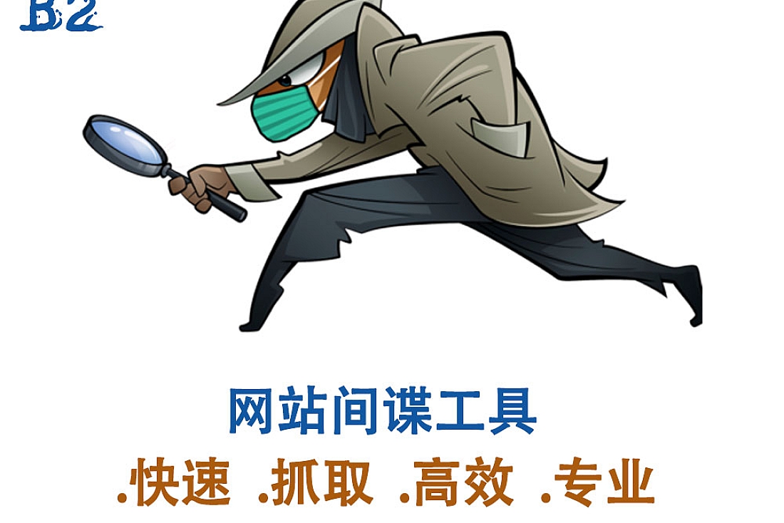 网站间谍工具-抓取竞争对手网站, 检查每个页面