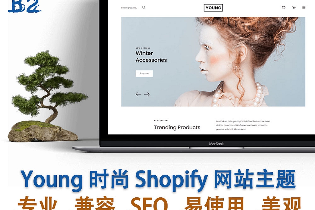 Young 时尚 Shopify 网站主题-Shopify 模板下载