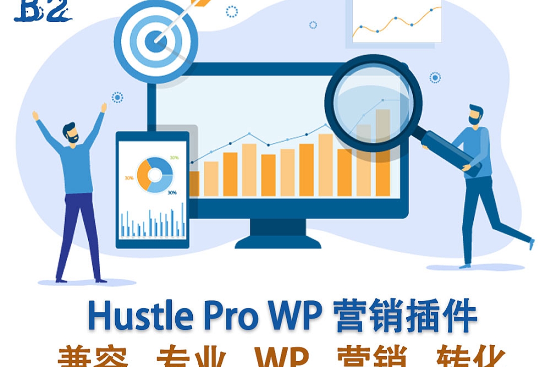 Hustle Pro WordPress 营销插件