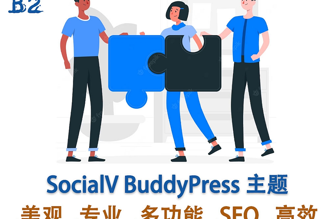 SocialV 社交网络和社区 BuddyPress 主题