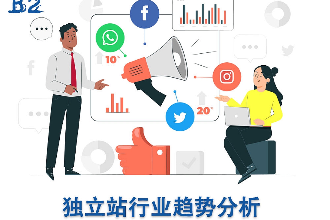 独立站行业趋势分析